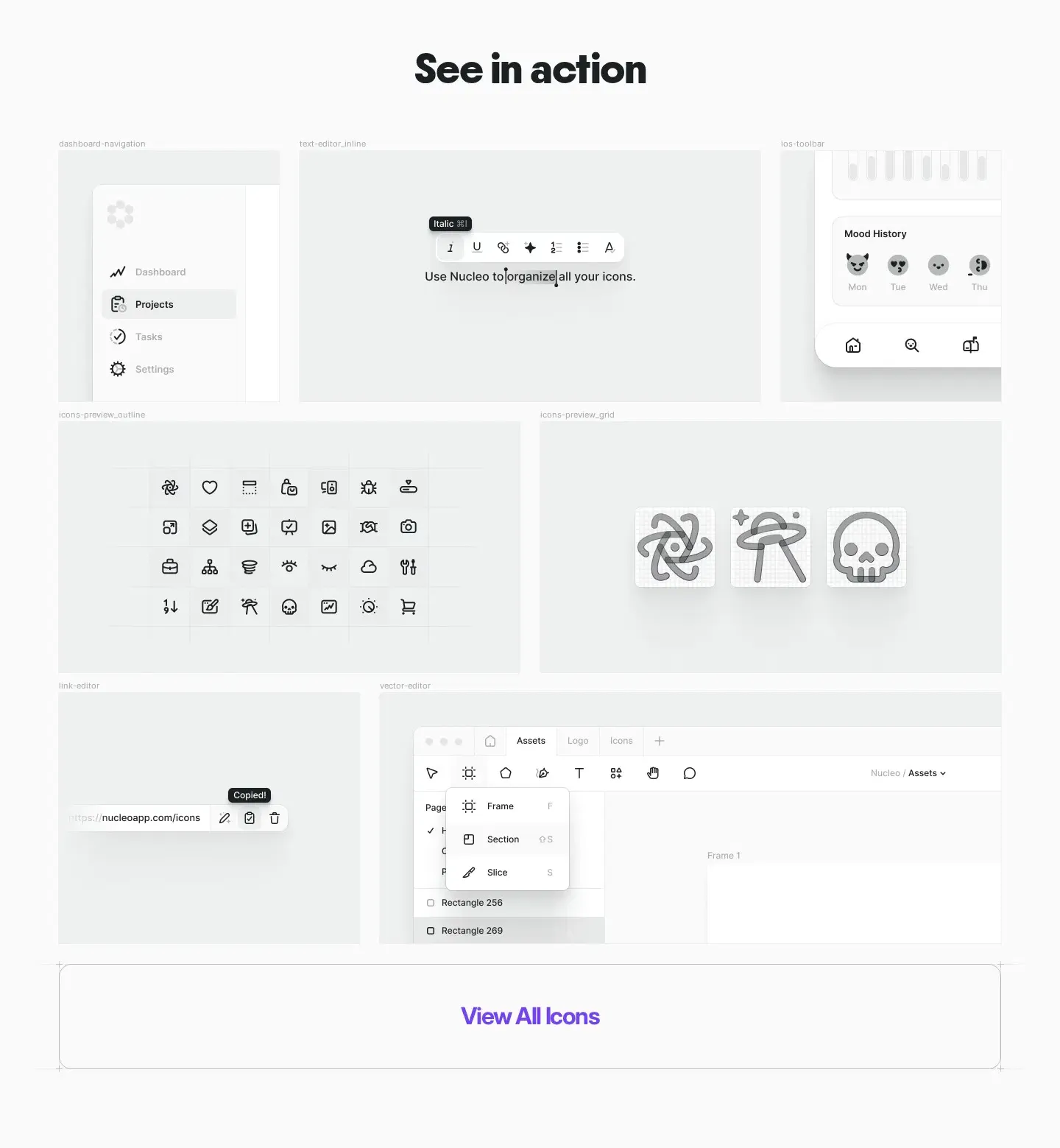Nucleo features section